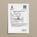 ELEANDROS Premium Bio Olivenöl – Extra Nativ mit hohem Polyphenolgehalt Ioannis Finest