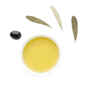 Olivenoel Kat transparent