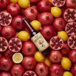 pop granate granatapfel ingwer sparkling juice ioannis finest (3)